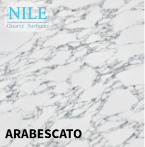 A professional kitchen with durable Nile Stone Quartz worktops.