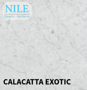 A sleek Nile Stone Quartz countertop with seamless installation in a kitchen.